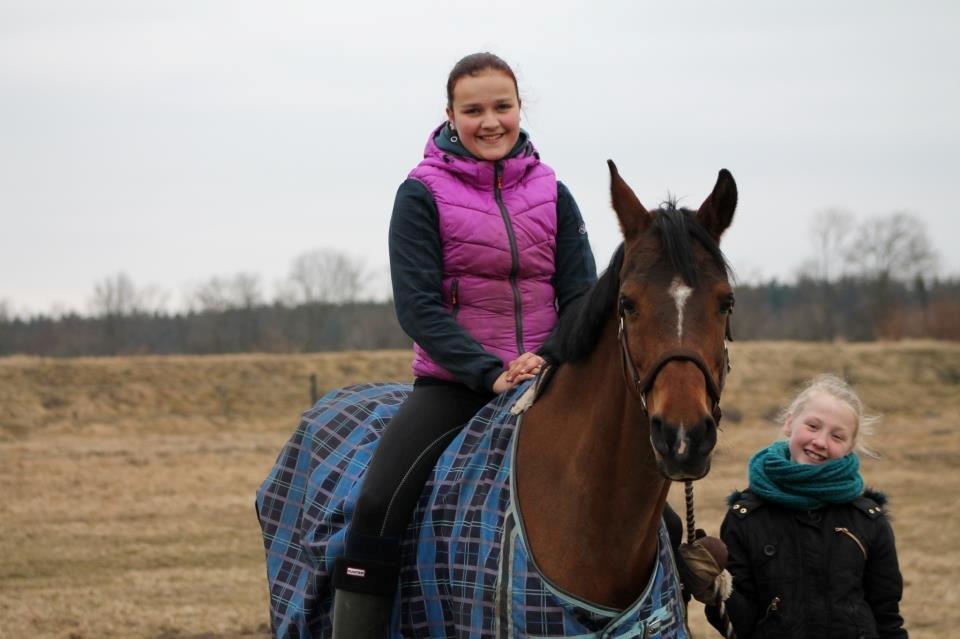 Arabisk fuldblod (OX) Amani. - Fotograf: Karoline Ryberg Kristensen. ♥ billede 10