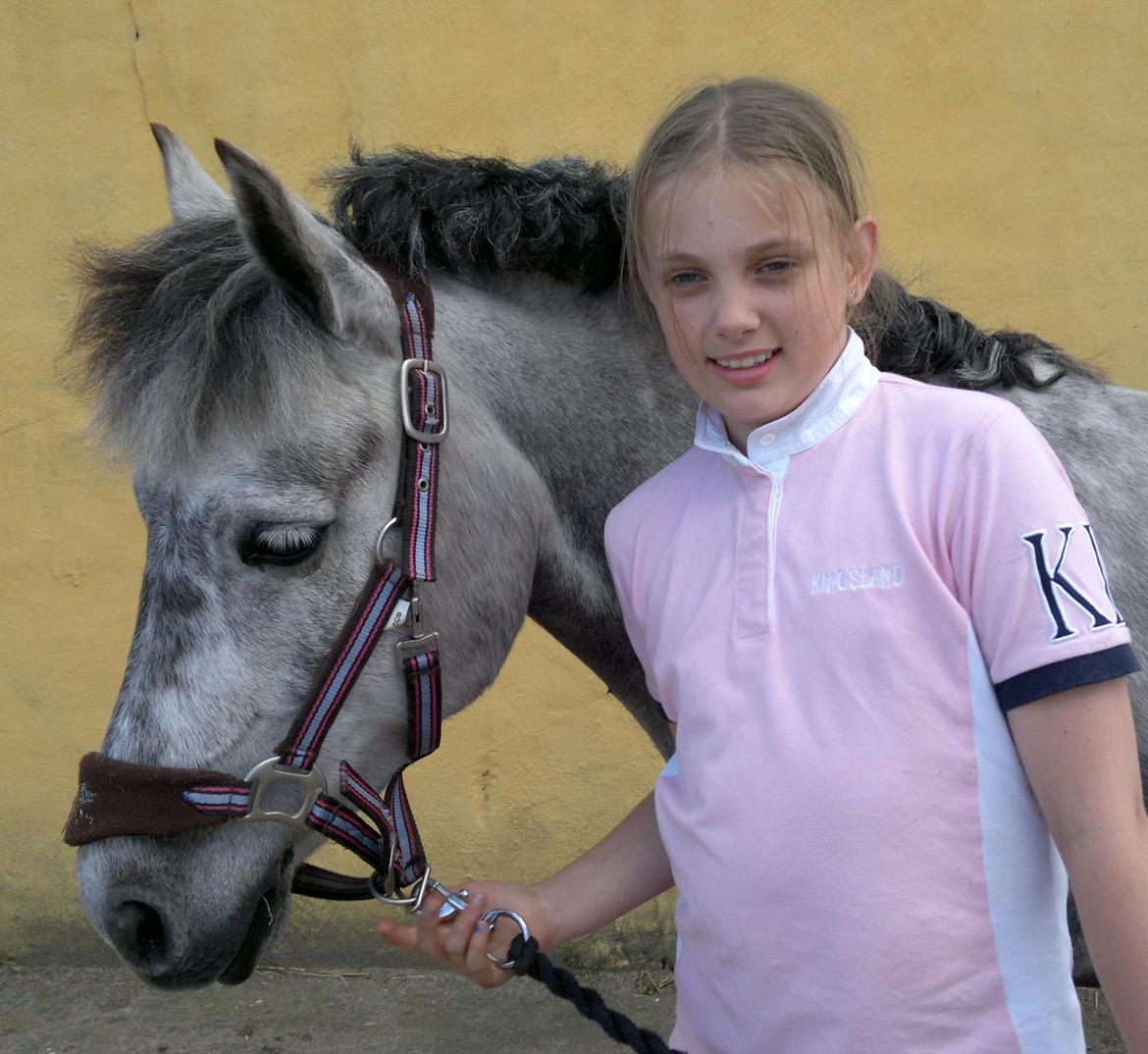 Anden særlig race Sugar - lige kommet hjem fra stævne billede 16