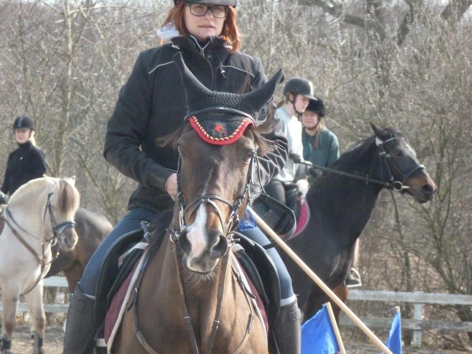 Traver Møffeline billede 14