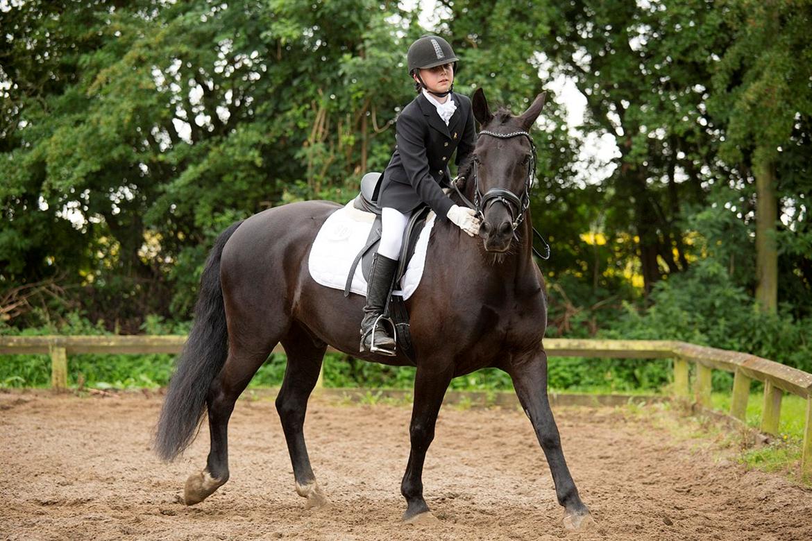 Anden særlig race Tyson billede 5