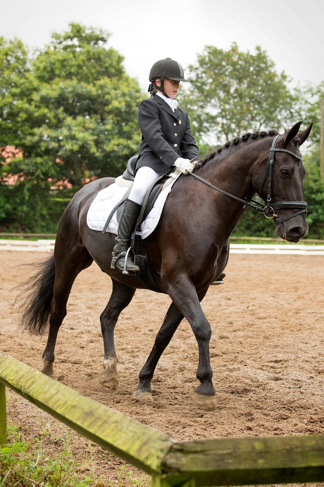 Anden særlig race Tyson billede 13