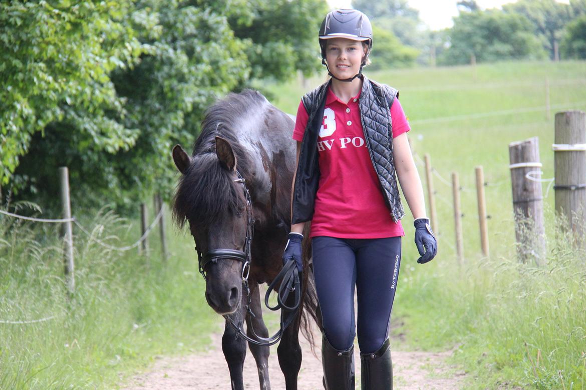 New Forest Kikkenberg's Rikki billede 16