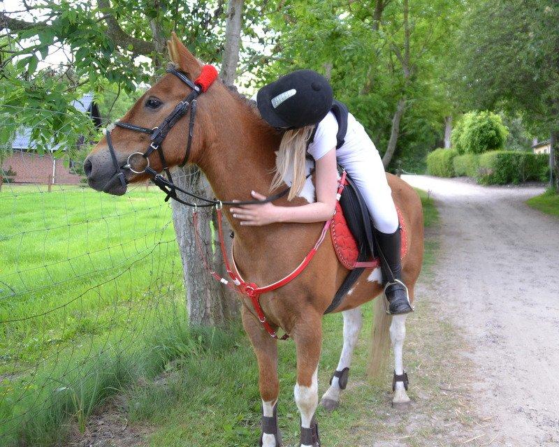 Pinto PRINS KASHMIR - Mit et og alt <3 billede 21