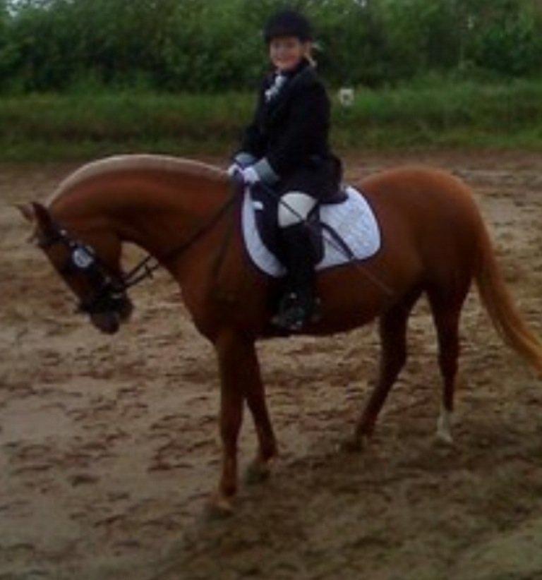 DSP Sunshine billede 2