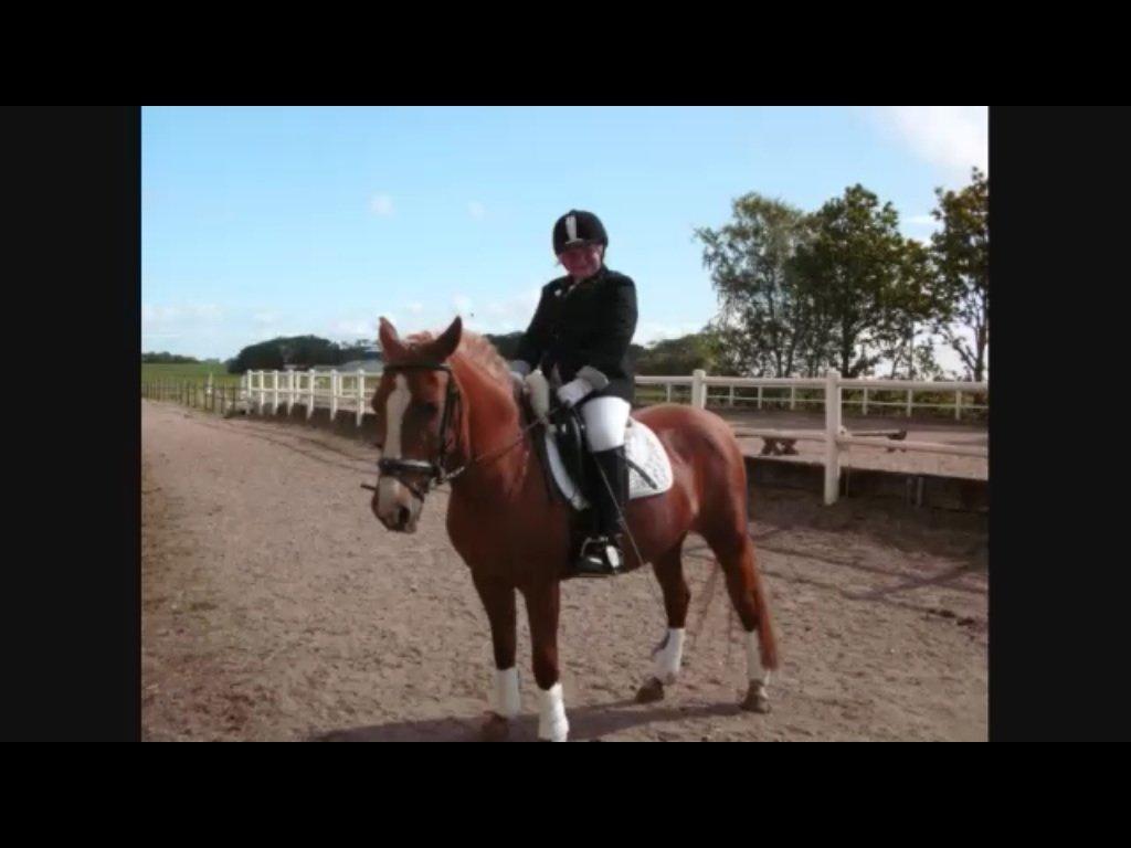 DSP Sunshine - Stævne for mange år siden :D billede 4