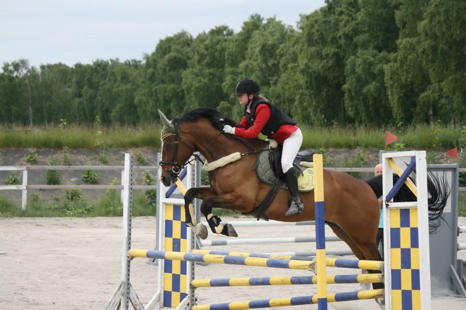 Dansk Varmblod Electric | Egon | - Egon og jeg i vores første LE:)<3 Uplaceret. billede 3