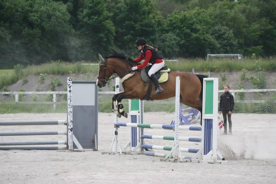 Dansk Varmblod Electric | Egon | - Egon og jeg i vores første LE:)<3 Uplaceret. billede 5