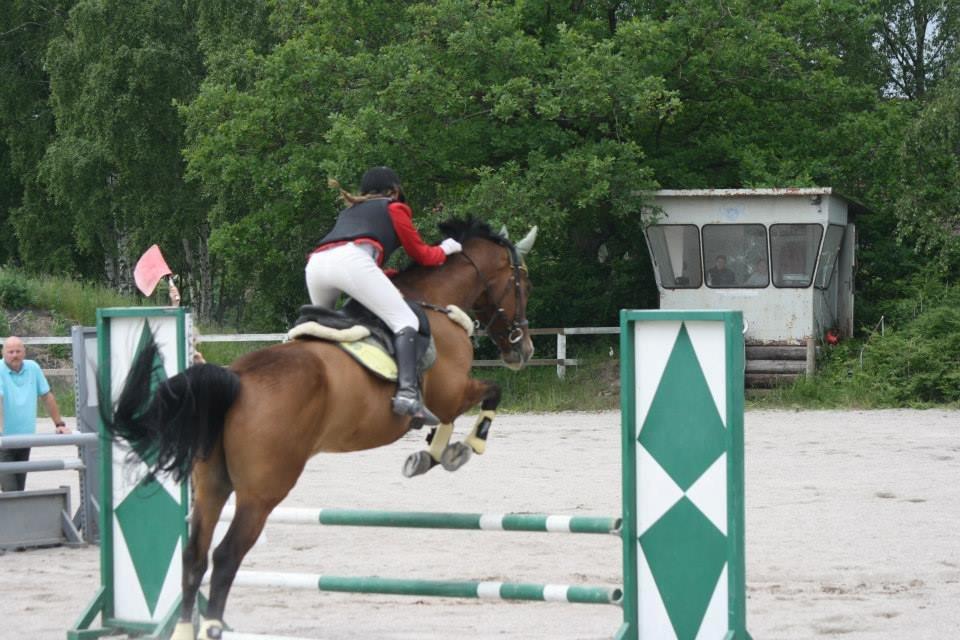 Dansk Varmblod Electric | Egon | - Egon og jeg i vores første LE:)<3 Uplaceret. billede 6