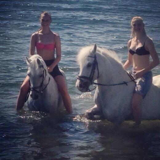 Tysk Sportspony Maidens Blush - Helt fantastisk tur til stranden! xx billede 5