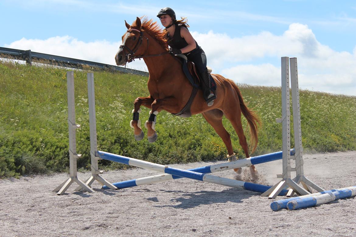 DSP Nørlunds Finette - Alt kan lykkes, hvis viljen til at ville, er større end frygten for at fejle billede 5