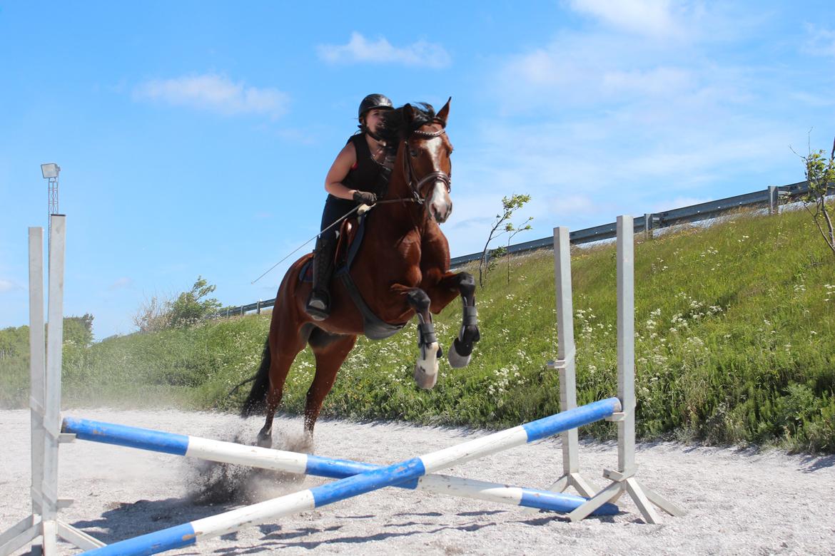 DSP Haahr`s Dumbledore - "Jeg ved godt hvem min bedste ven er,
  ikke ham som giver mig mod til at springe men,
  ham som tager springet med mig." billede 26