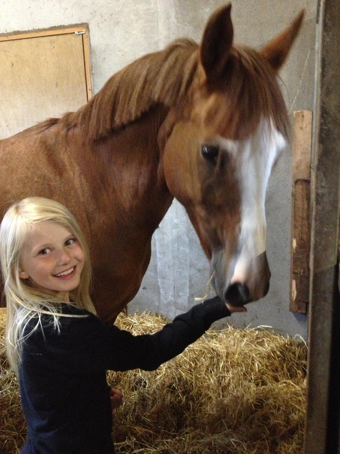 New Forest Taliena´s Thamara billede 9