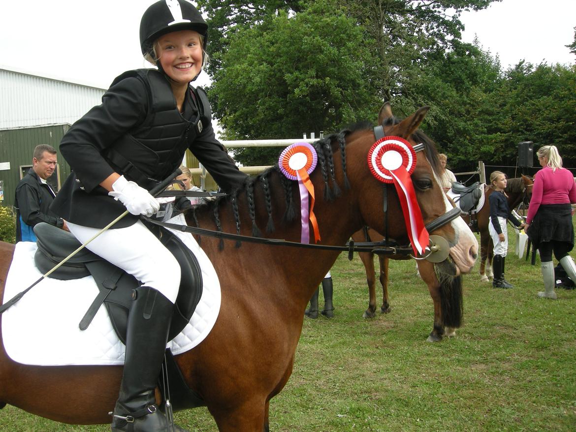 Welsh Pony (sec B) Rakt's Britney solgt - Spring stævne billede 2