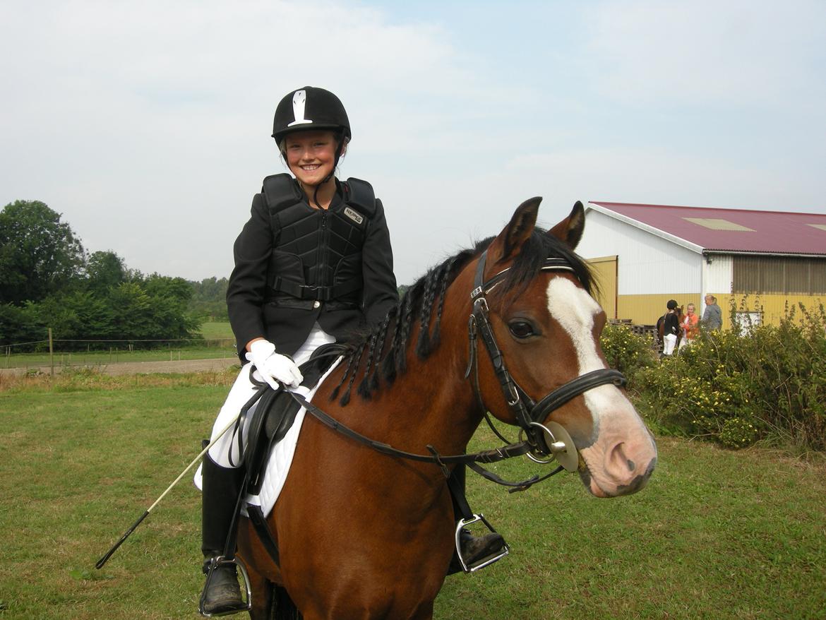 Welsh Pony (sec B) Rakt's Britney solgt - Spring stævne billede 10