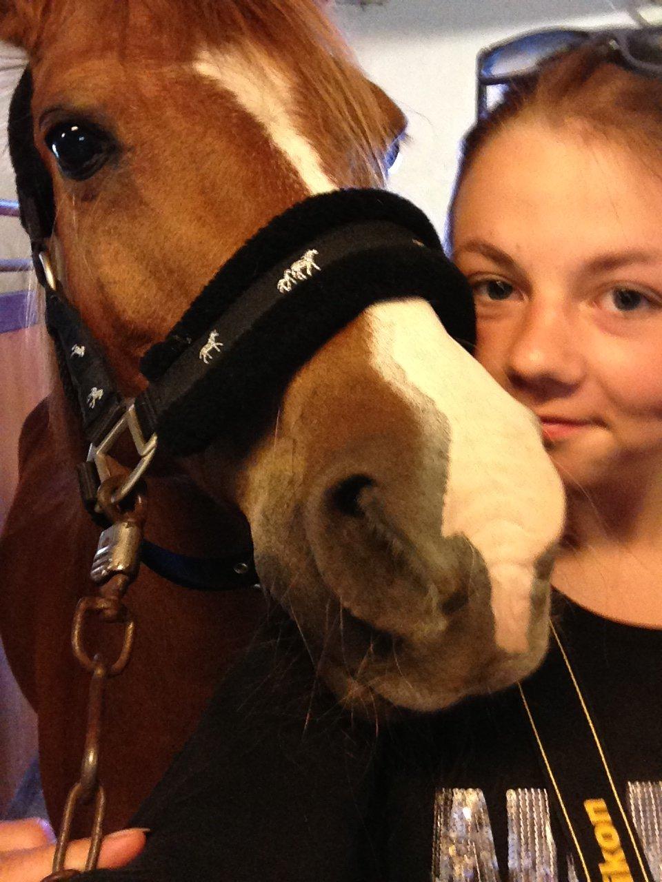 Anden særlig race Tristan R.I.P. - Var ude at sige farvel til den fantastiske pony. Håber at du får det godt på de evige græsmarker! Altid i mit hjerte! <3 billede 16