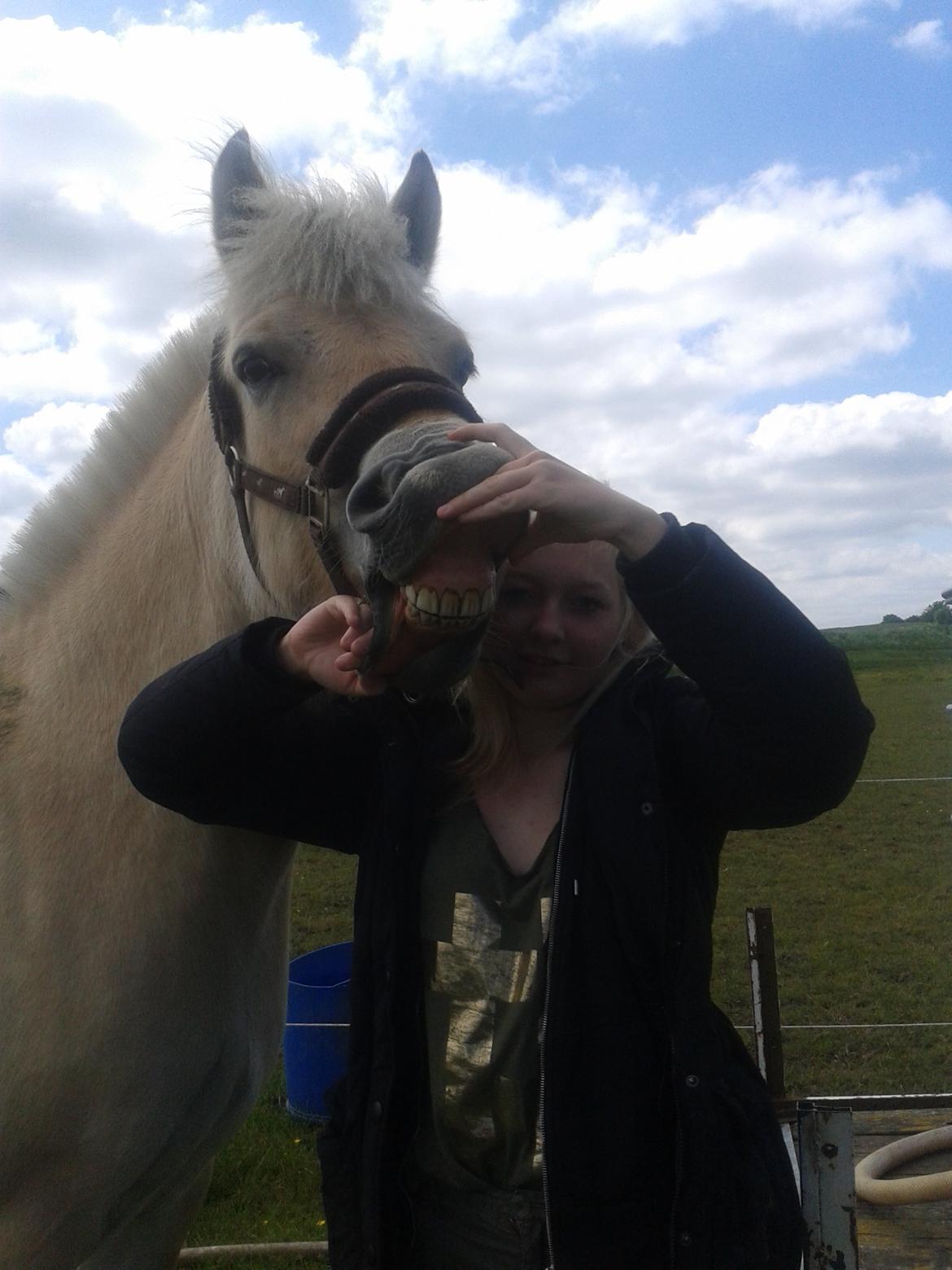 Fjordhest Jydegårdens Luna [himmelhest] - fordi ponyen er smækker lækker
-sommer 2013 billede 14