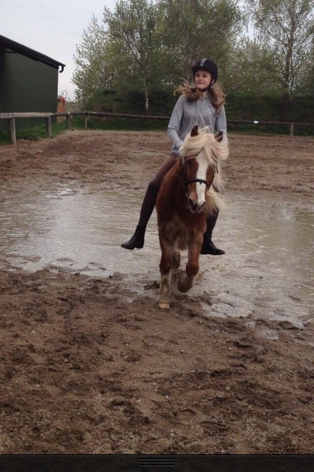 Anden særlig race Mac Gregor/Mags<333 - Hygge dag<333 billede 14