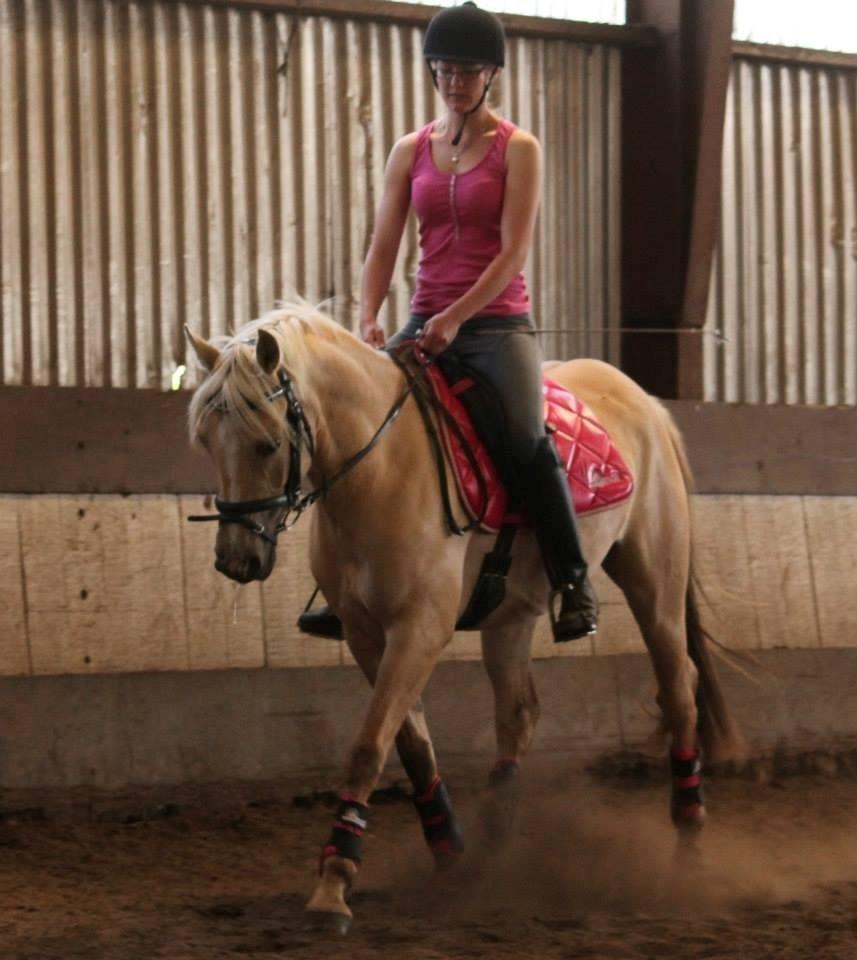 DSP Fjordbakkens Freja ~*Golden<3* - Juni 2013 billede 4