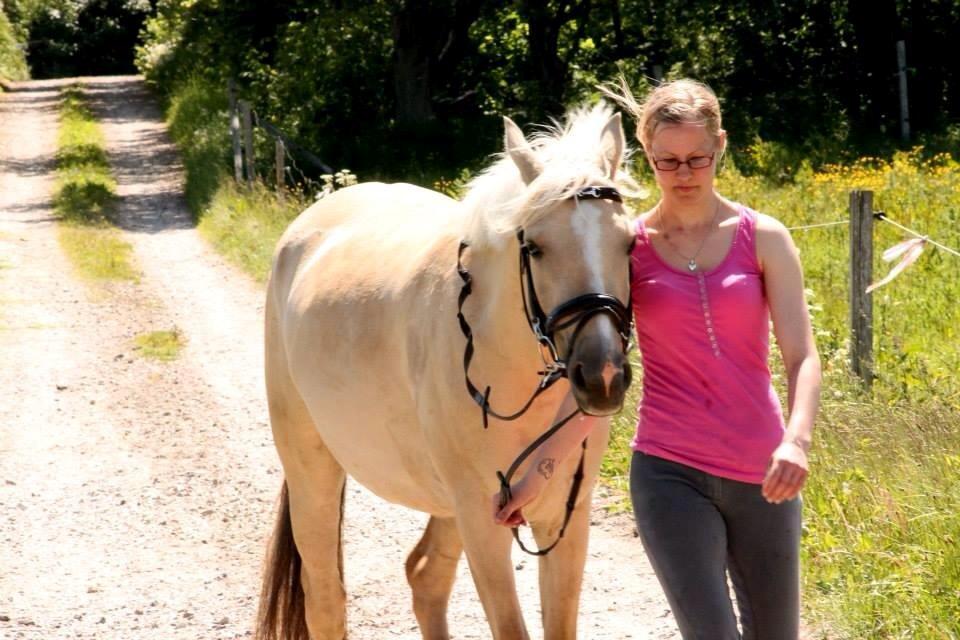 DSP Fjordbakkens Freja ~*Golden<3* - Træning juni 2013 billede 17