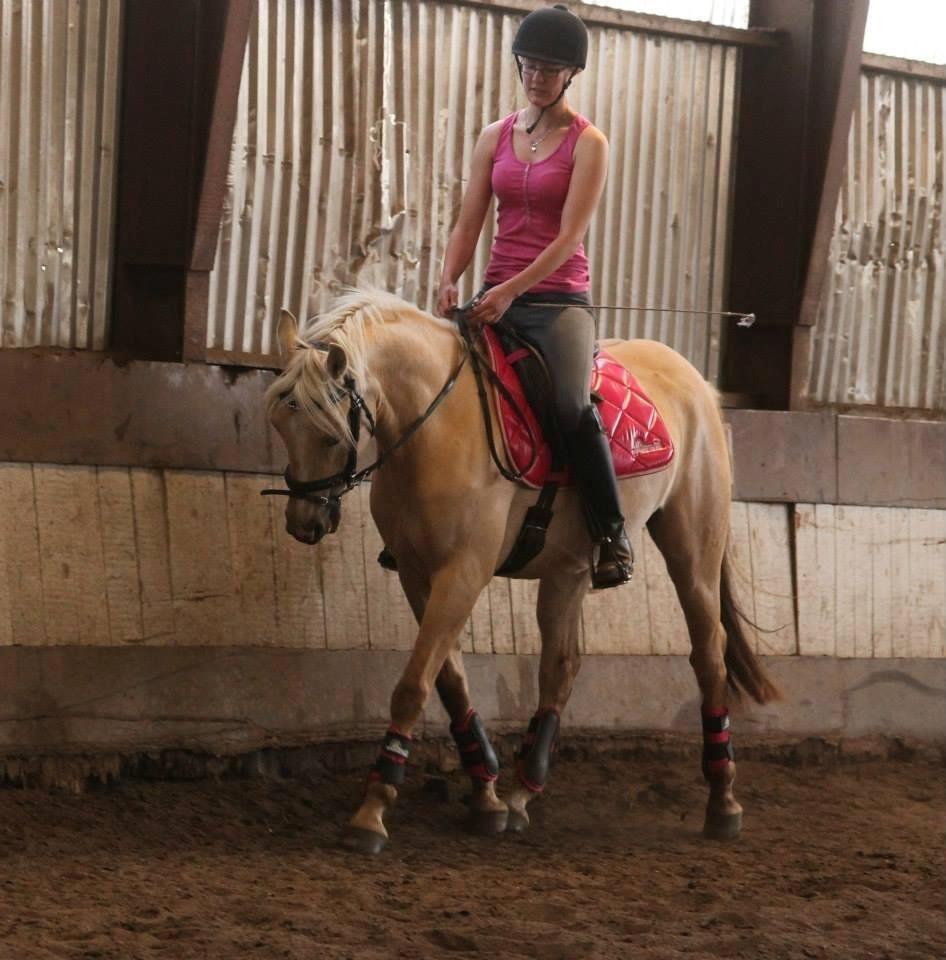 DSP Fjordbakkens Freja ~*Golden<3* - Stjerne pony i juni 2013. billede 12