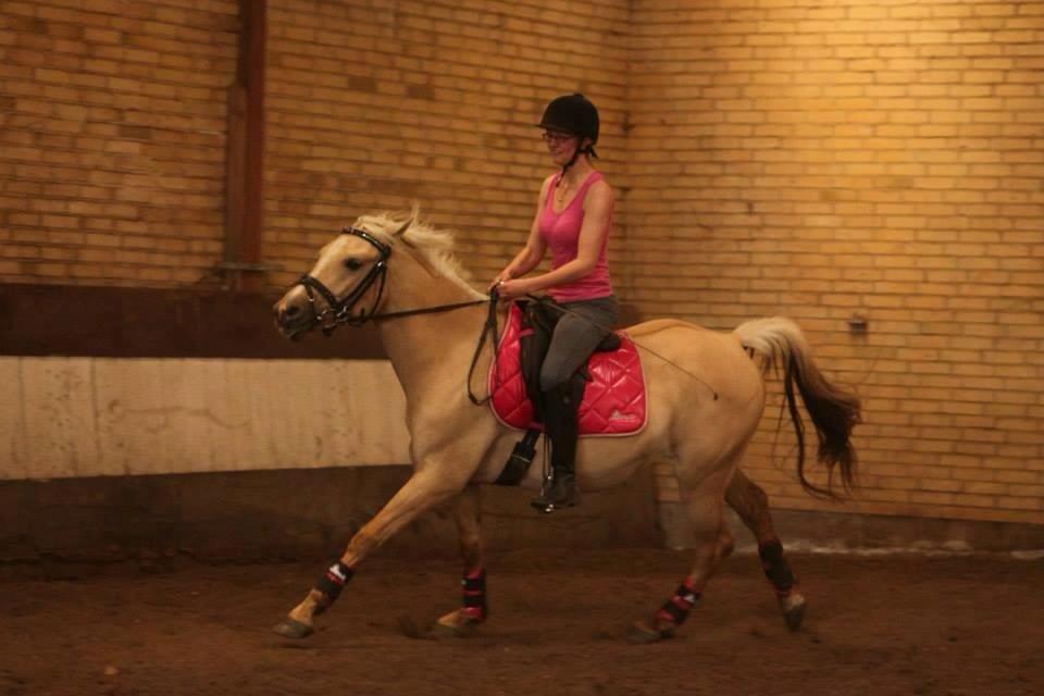 DSP Fjordbakkens Freja ~*Golden<3* - Jihuaaa fuld gas!  billede 13