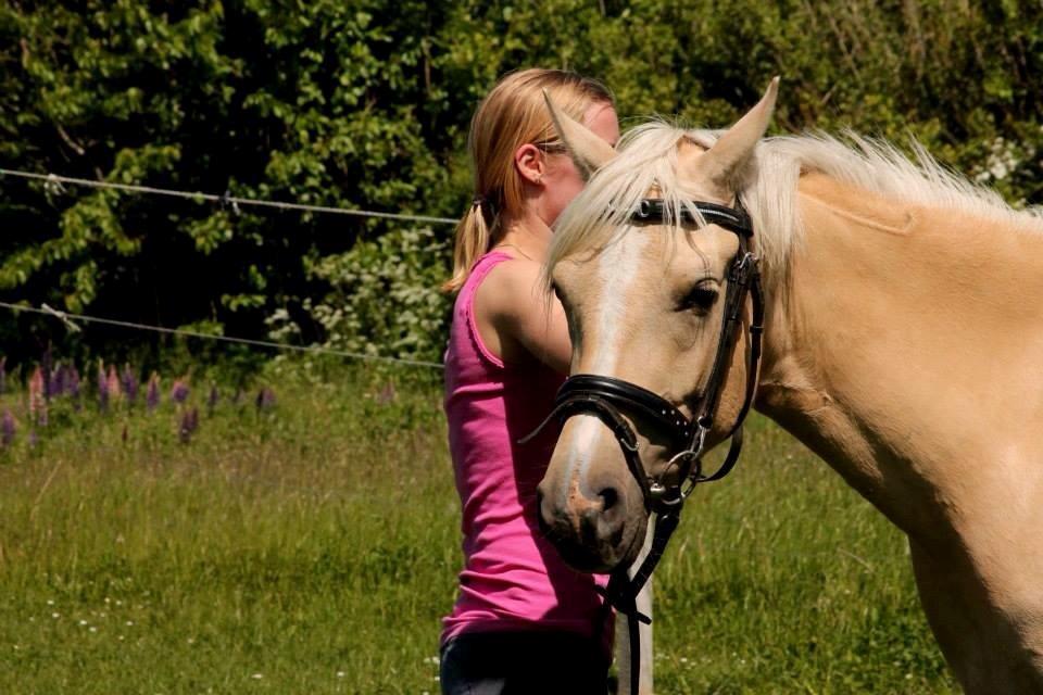 DSP Fjordbakkens Freja ~*Golden<3* - pony <3 billede 15
