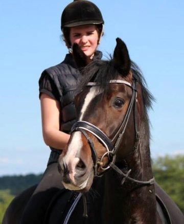 Dansk Varmblod Capa's Don Marchello - Skønneste baby billede 13