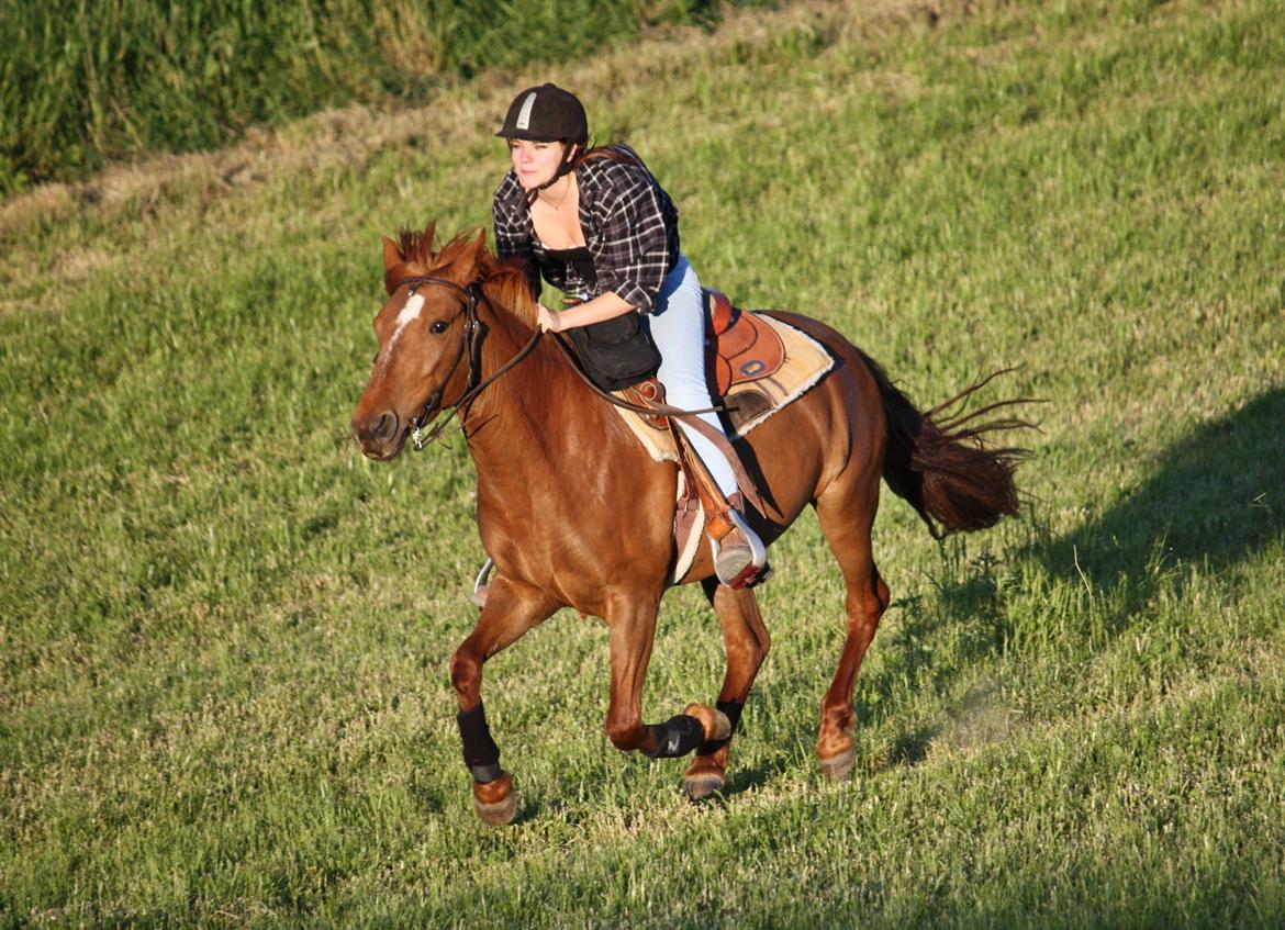 Anden særlig race | Galina Desire - det allerbedste! 09.06.2013 billede 10