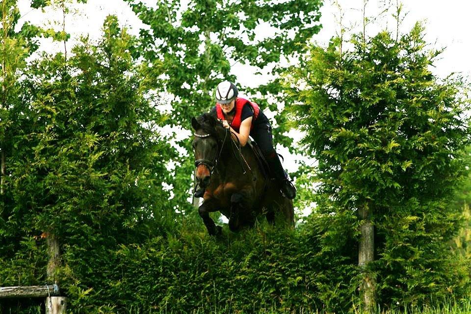 DSP Day-lights naomi - Min lille terræn pony<33
Billed Ditte Hansen billede 36