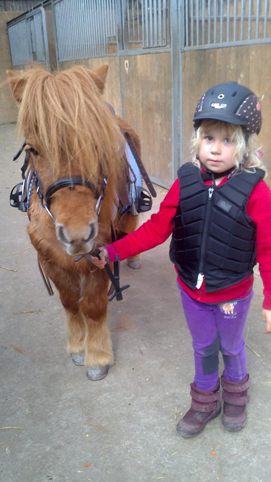 Shetlænder Isabella - Rebecka og Isabella på vej ud for at ride for første gang billede 6