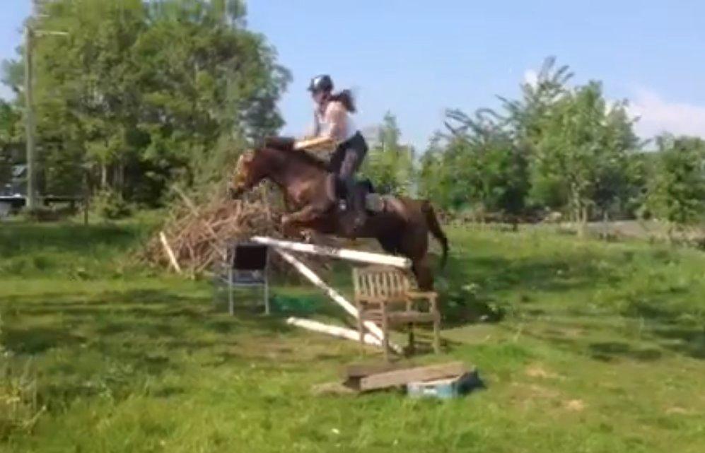 New Forest Freja - Vi springer 1m! :D
(undskyld kvali. det er fra video) billede 4