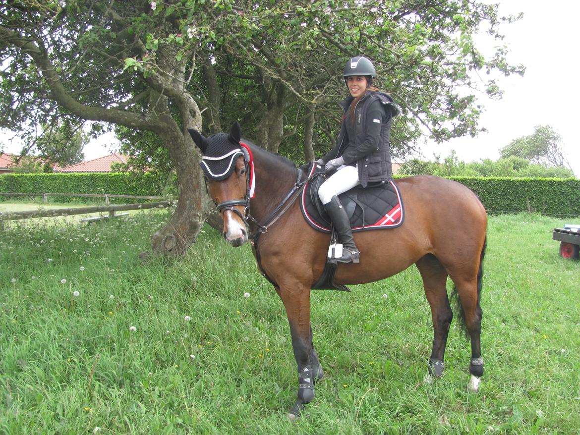 Dansk Varmblod Åen`s April - B - HEST <3. - Min skat, efter at have vundet LB´en, efter 7 ugers springfri! <3 billede 18