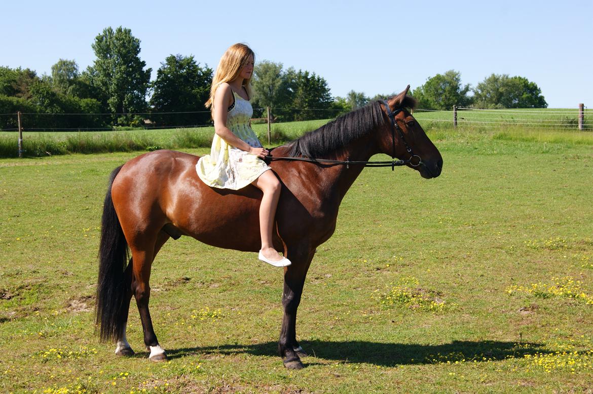 Traver Gismo Silk billede 17