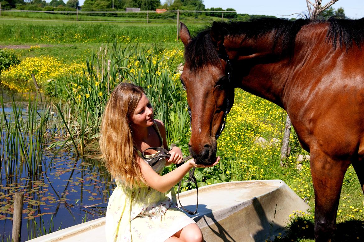 Traver Gismo Silk billede 1