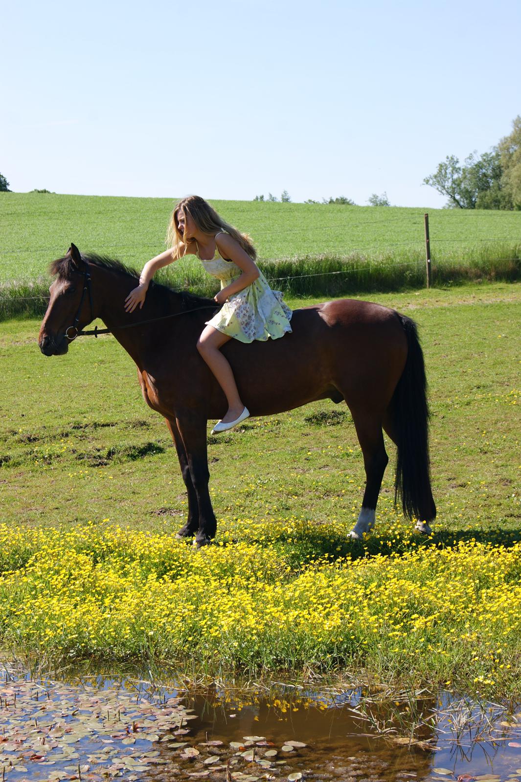 Traver Gismo Silk billede 18