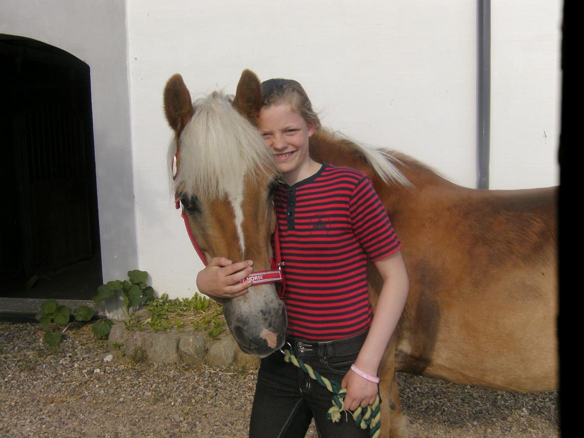Haflinger Colibri - Du og jeg, Colibri, du og jeg! Sommer 13 billede 12