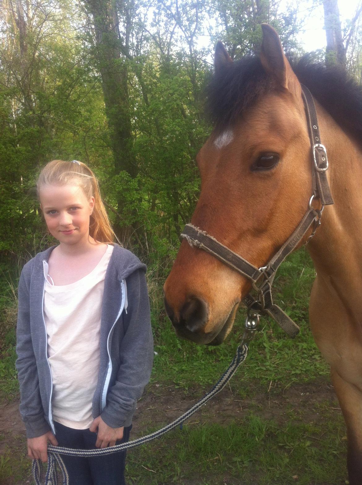 Anden særlig race Bayli  billede 13