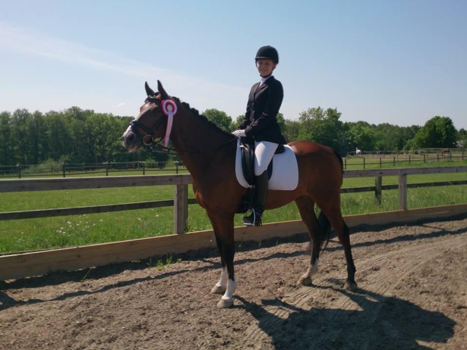 DSP Toftegårdens Alcazar B-pony billede 11