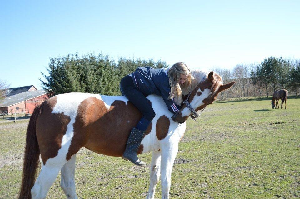 Pinto Dominique - ''When evrything is wrong you make it right'' billede 15