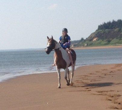 Pinto Dominique - ''Hvis jeg var en and, og du var vand, ville jeg aldrig gå i land''<3 billede 16