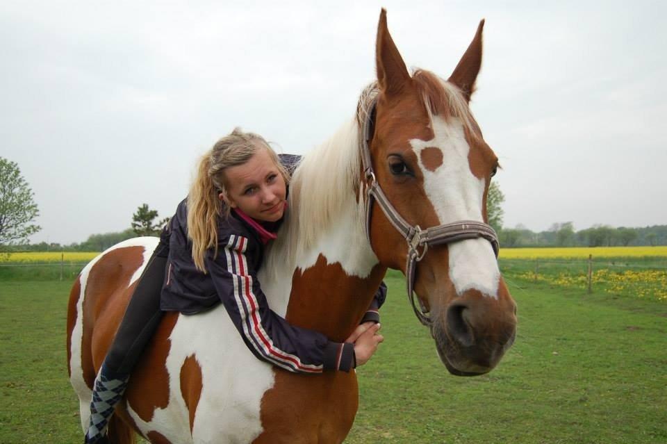 Pinto Dominique - Jeg var sikker på det skulle være dig og mig for evigt.. Men tiden går, og nu ved jeg at jeg har rørt din bløde pels, kysset din mule og kigget dig i øjnene for sidste gang.. Dominque, jeg valgte ikke denne beslutning<3 billede 20