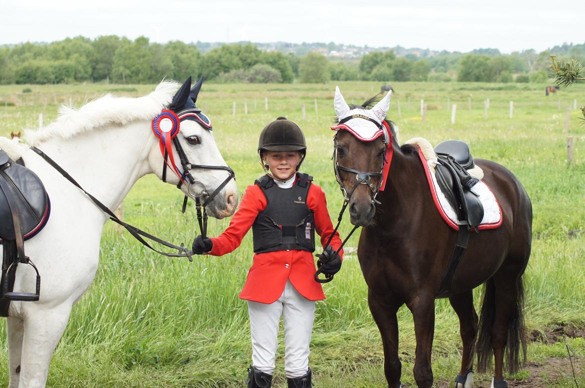 Anden særlig race Ibrahim - Grey Eagle & Ibrahim, efter stævne <3 de begge sprang mega godt!!<3 billede 22