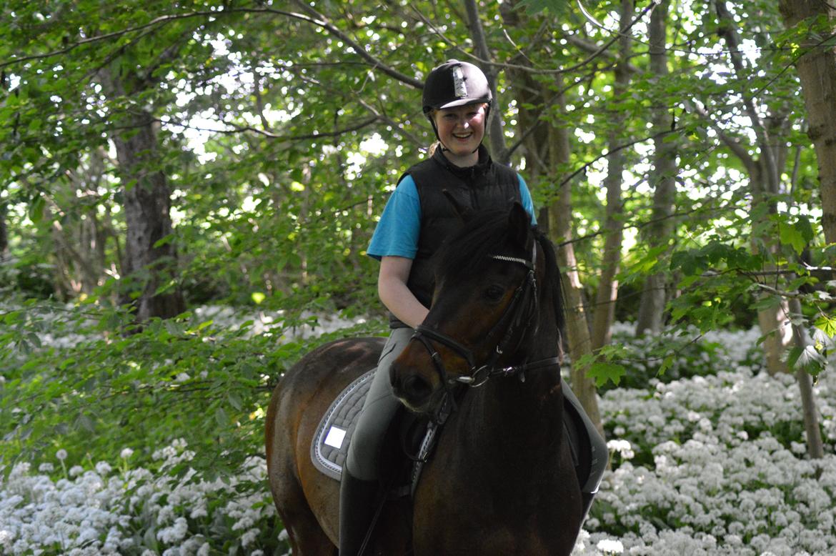 New Forest Elmholts Granat - billedet er taget af: Julie billede 3