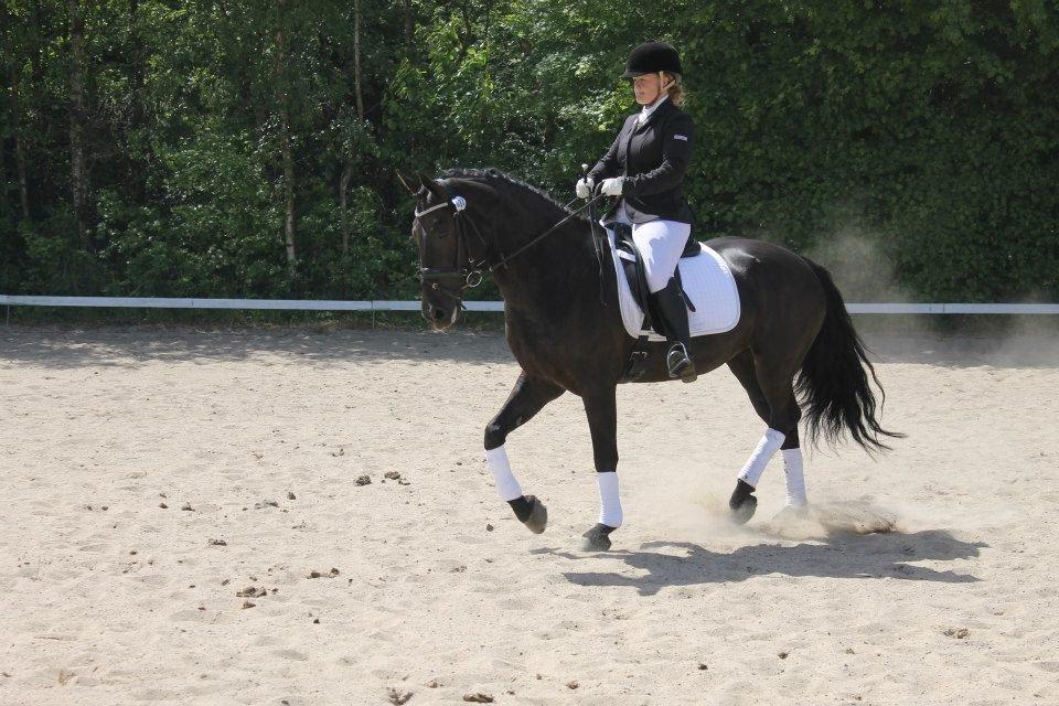 Anden særlig race Fie * My soulmate* <3 - Fie til dressur stævne, hun vandt den her klasse <3
8-6-2013 billede 12