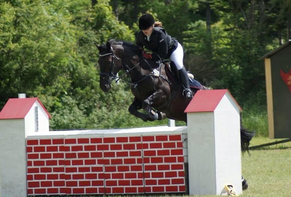 Anden særlig race Fie * My soulmate* <3 - Fie i en LC :-) 9-6-3013 <3 stjerne! billede 13