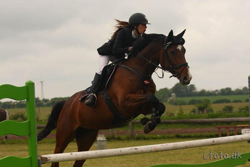 Dansk Varmblod Åen`s April - B - HEST <3. - April vinder LB i Nordthy! <3 billede 4