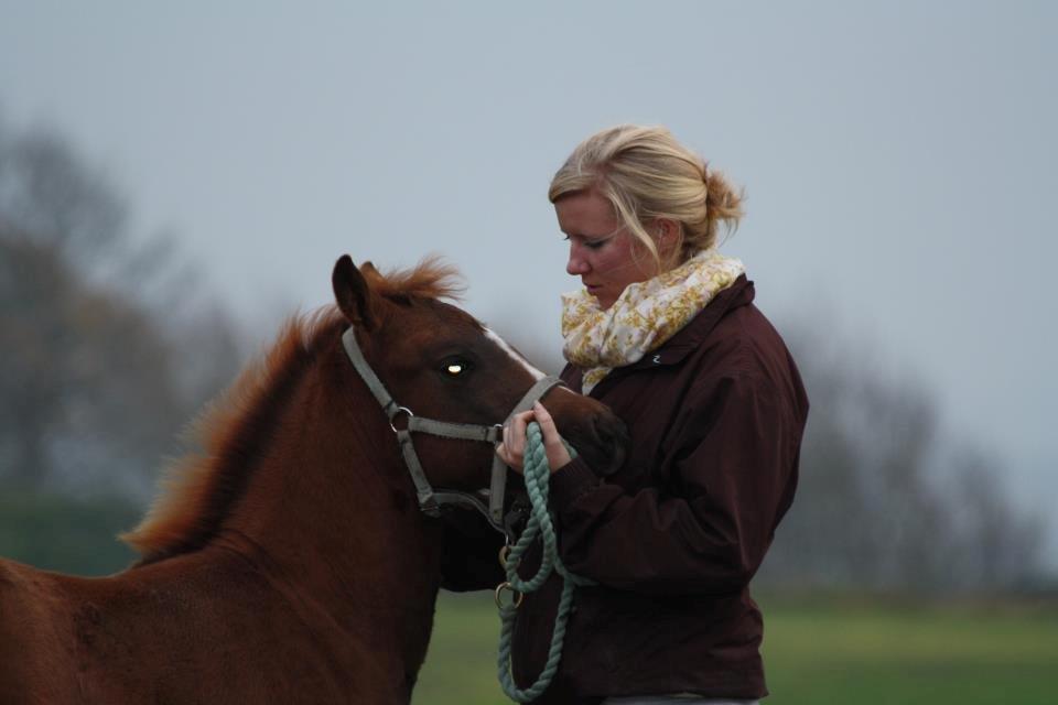 Pinto Aya Jane á jungshoved SOLGT billede 6