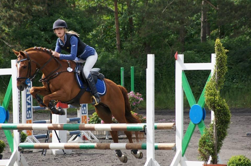 Tysk Sportspony DayDream 38 billede 1