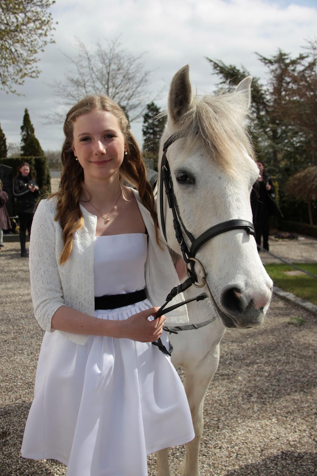 Anden særlig race Sjalina - Sjalina kom og hentede mig ved kirken da jeg blev konfirmeret. Hun var så sød og nød bare al opmærksomheden fra alle menneskerne:) billede 12