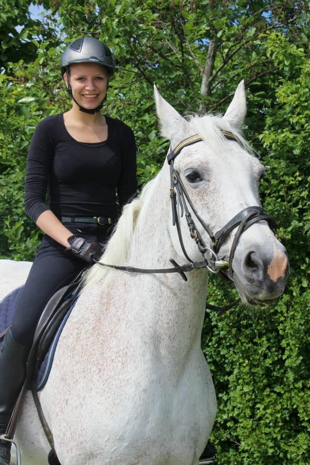 Dansk Varmblod Backersdal´s Lollipop [Min stjerne] - Det er kun et på gensyn! Aldrig et farvel...<3 billede 10